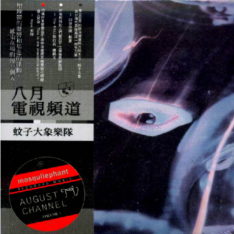 八月电视频道