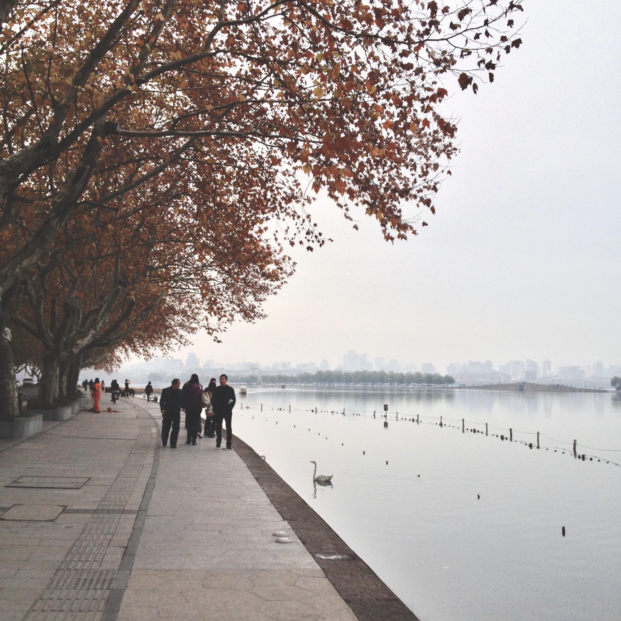 无解