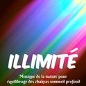 Illimité - Musique de la nature pour équilibrage des chakras sommeil profond avec sons instrumentaux专辑