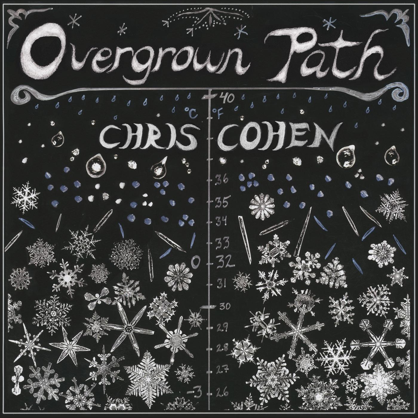 Chris Cohen - Don't Look Today