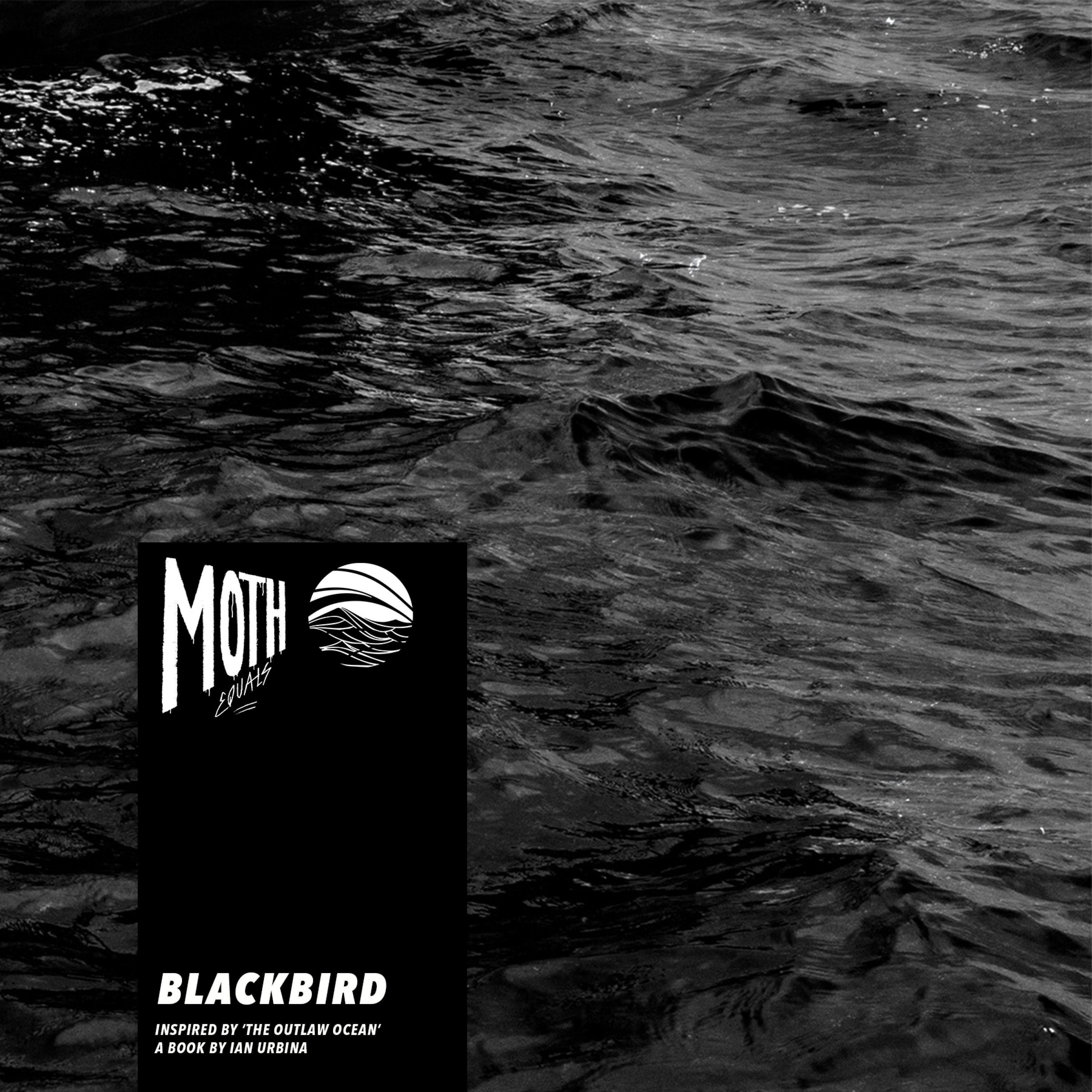 Blackbird (Inspired by ‘The Outlaw Ocean’ a book by Ian Urbina)
