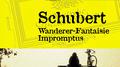 Schubert: Wanderer-Fantaisie; Impromptus专辑