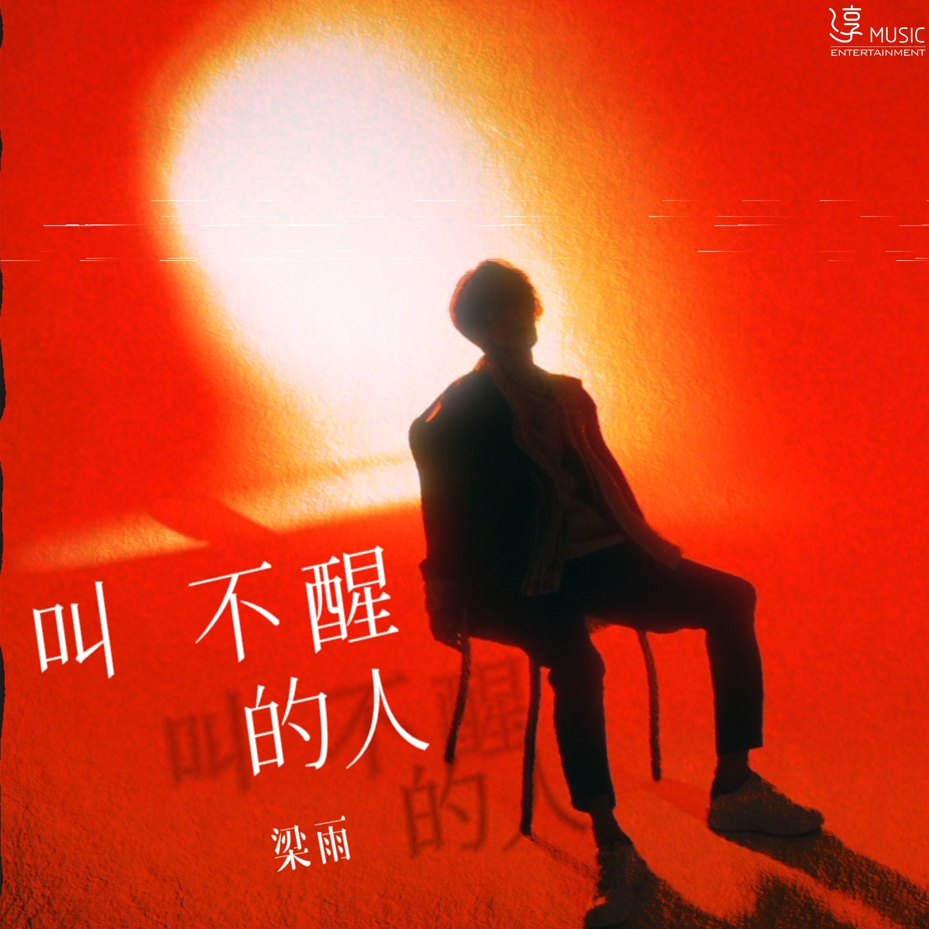 叫不醒的人