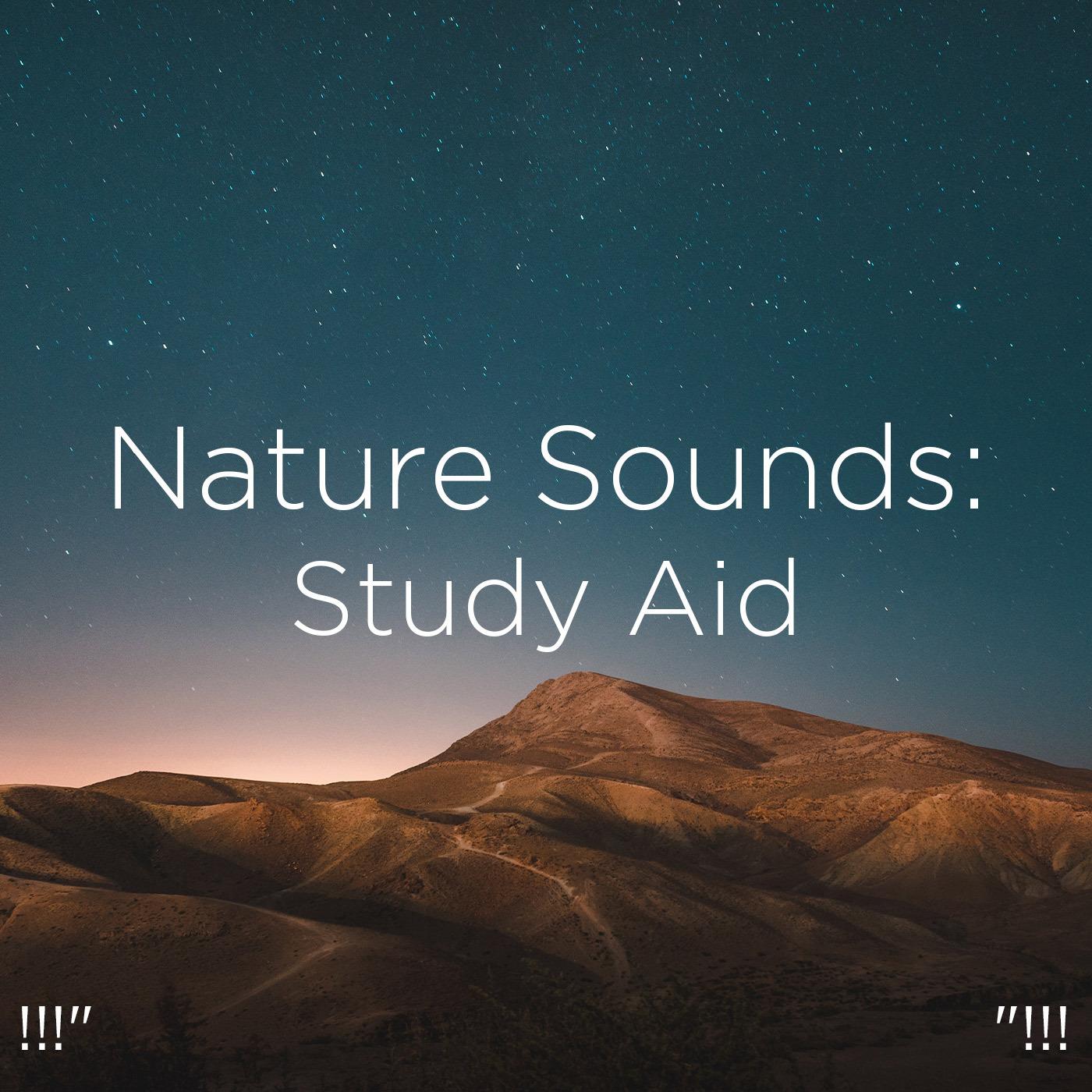 !!!" Nature Sounds: Study Aid "!!!