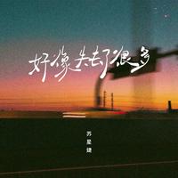 苏星婕 - 好了伤疤忘了他