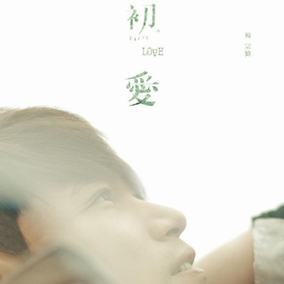 2019抖音中文热歌精选