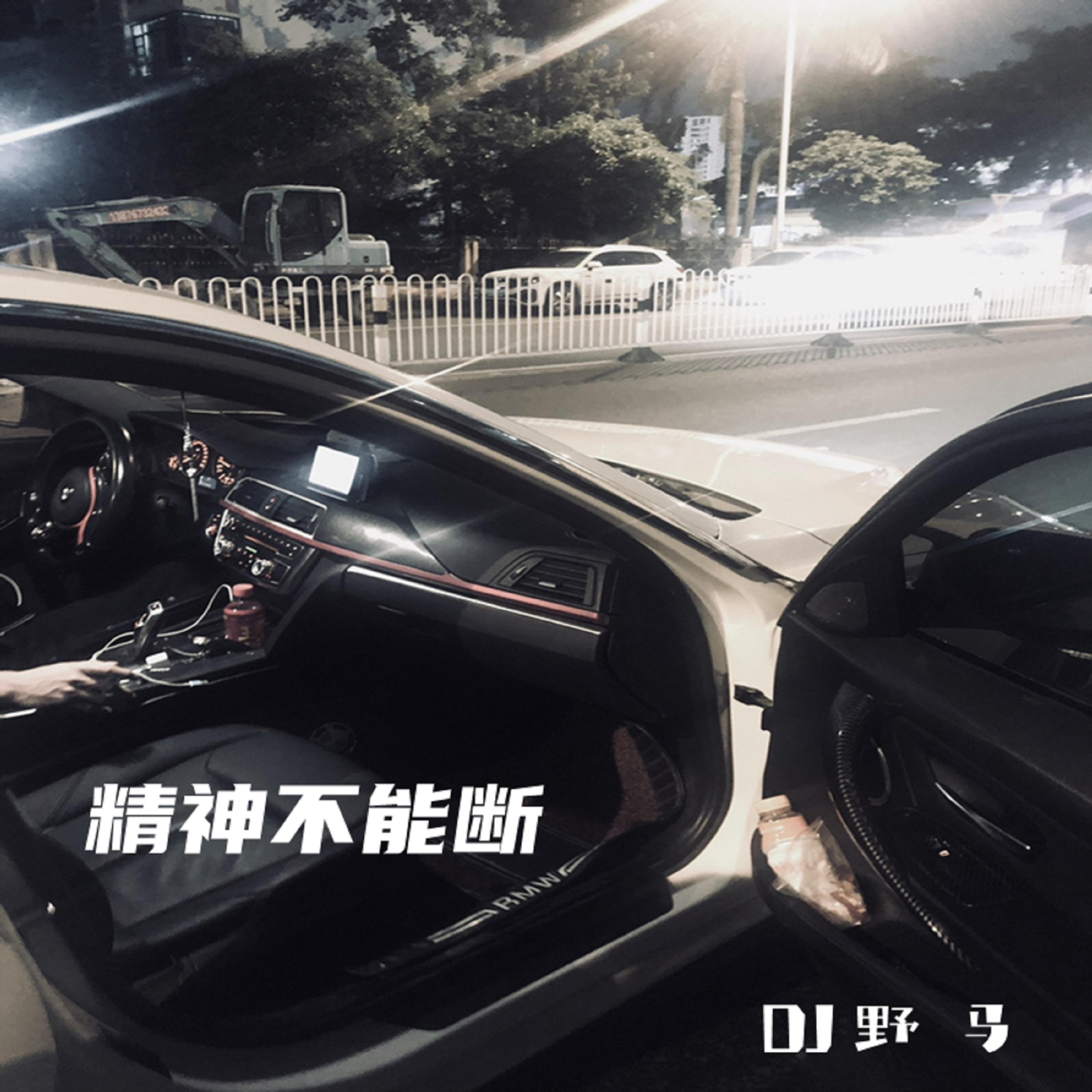 不潮不用花钱 (DJ野马版)