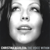 The Voice Within (Album Version)