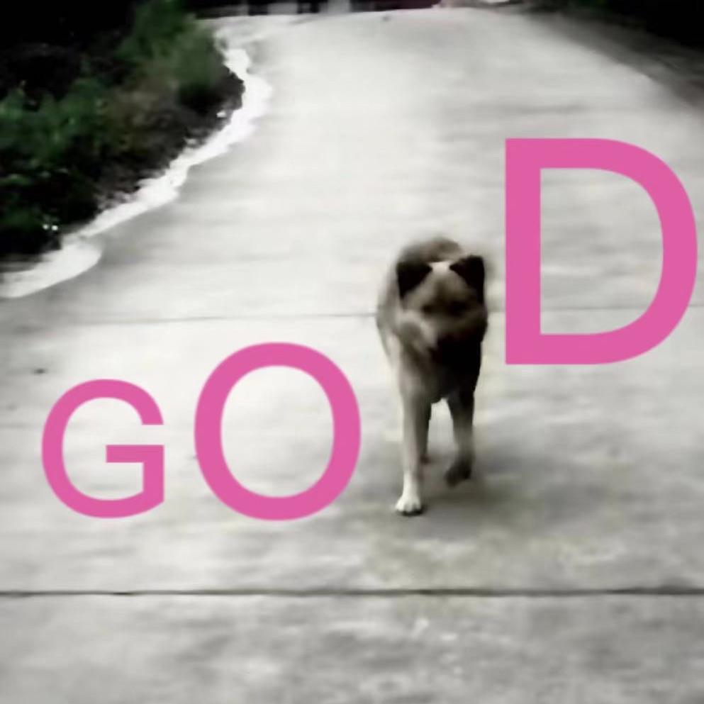 好狗 (Good Dog)
