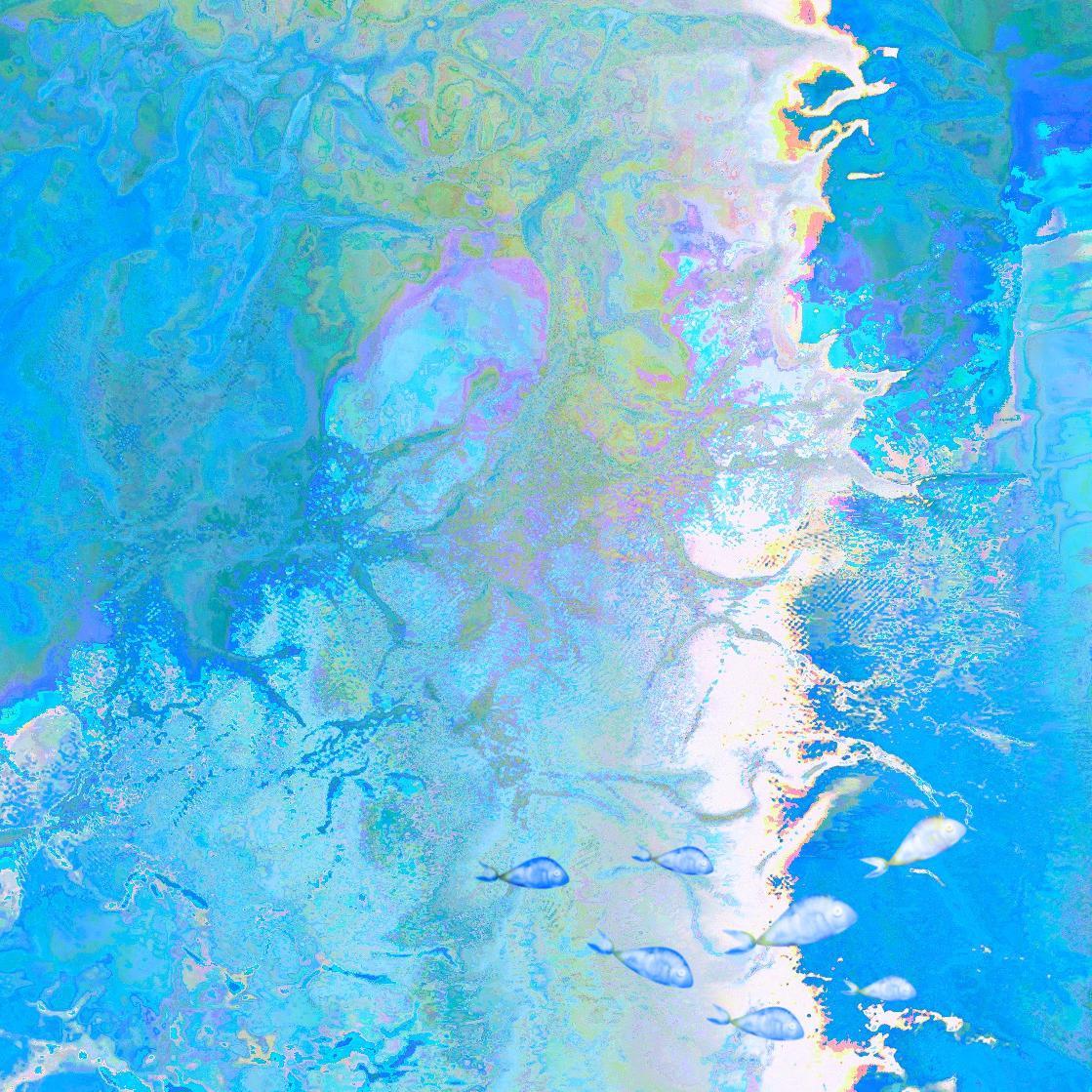 流浪の鱼