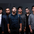 Palisades