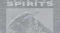 hide TRIBUTE SPIRITS专辑