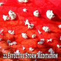 22 Effective Storm Meditation专辑