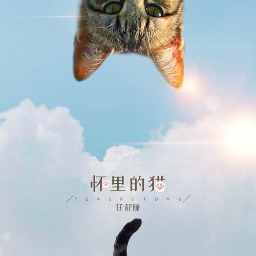 怀里的猫专辑