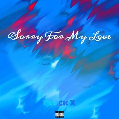 sorry for my love（Prod MoonVibe Beatz & K-MAX ）