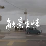 触景生情（抖音版）