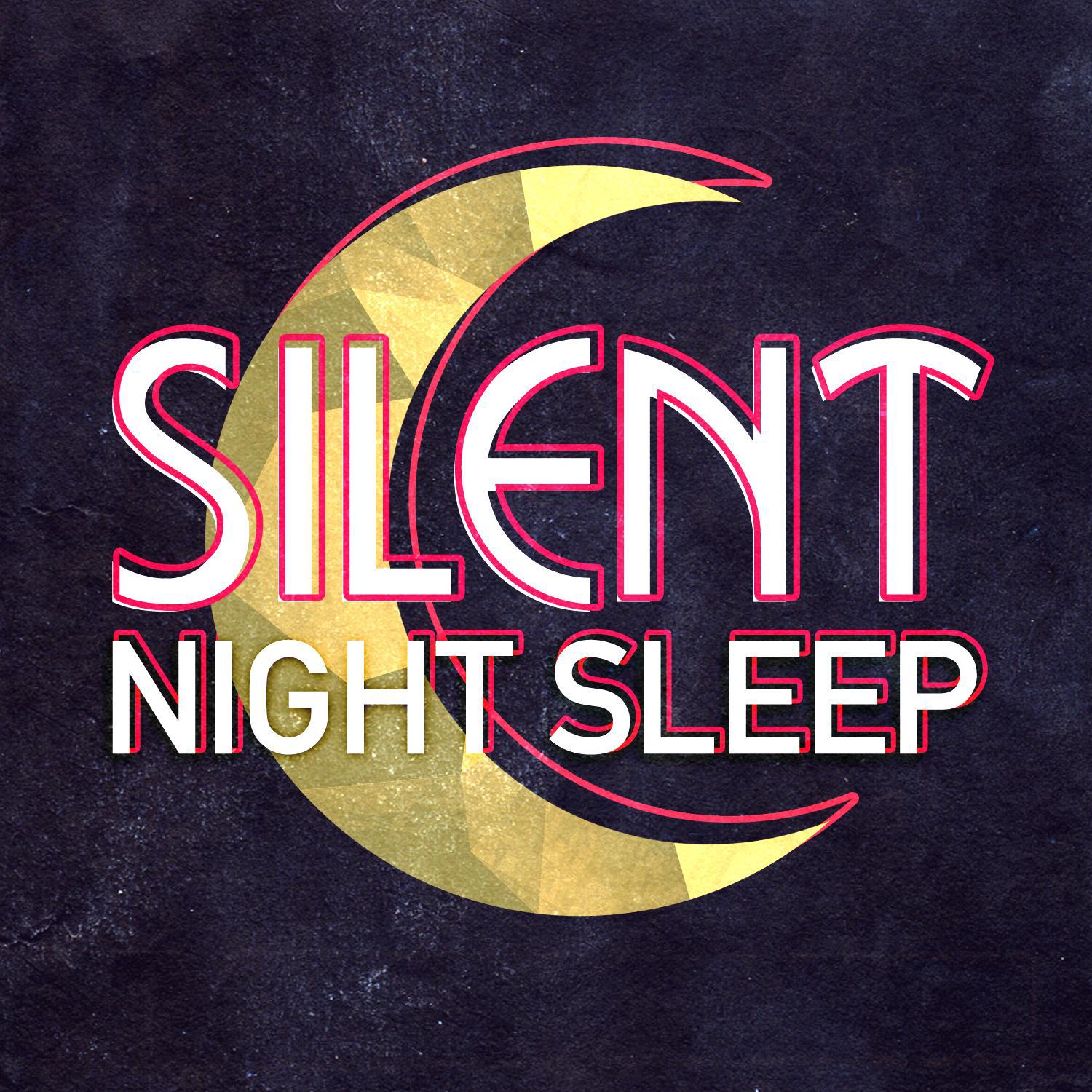 Silent Night Sleep专辑