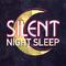 Silent Night Sleep专辑