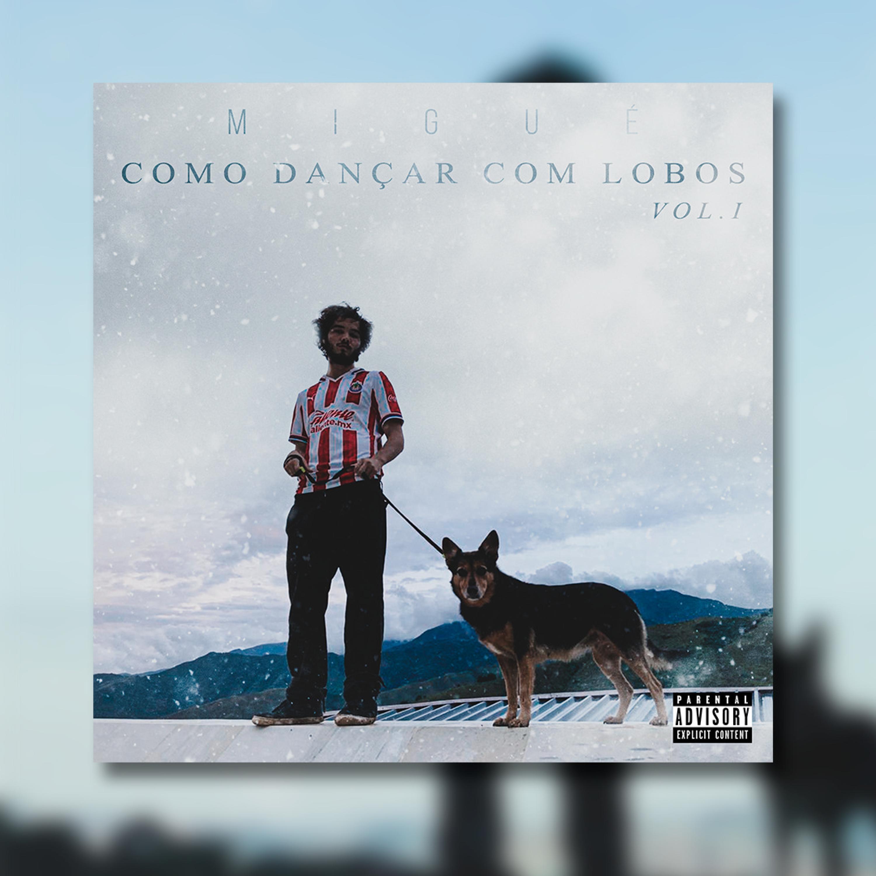 ''Como Dançar com Lobos'' vol.1