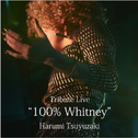 Tribute Live "100% Whitney"专辑