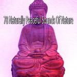 78 Naturally Peaceful Sounds Of Nature专辑