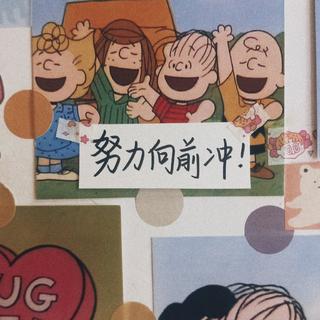 B站视频