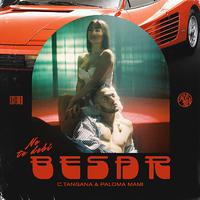 C. Tangana、Paloma Mami - No Te Debí Besar