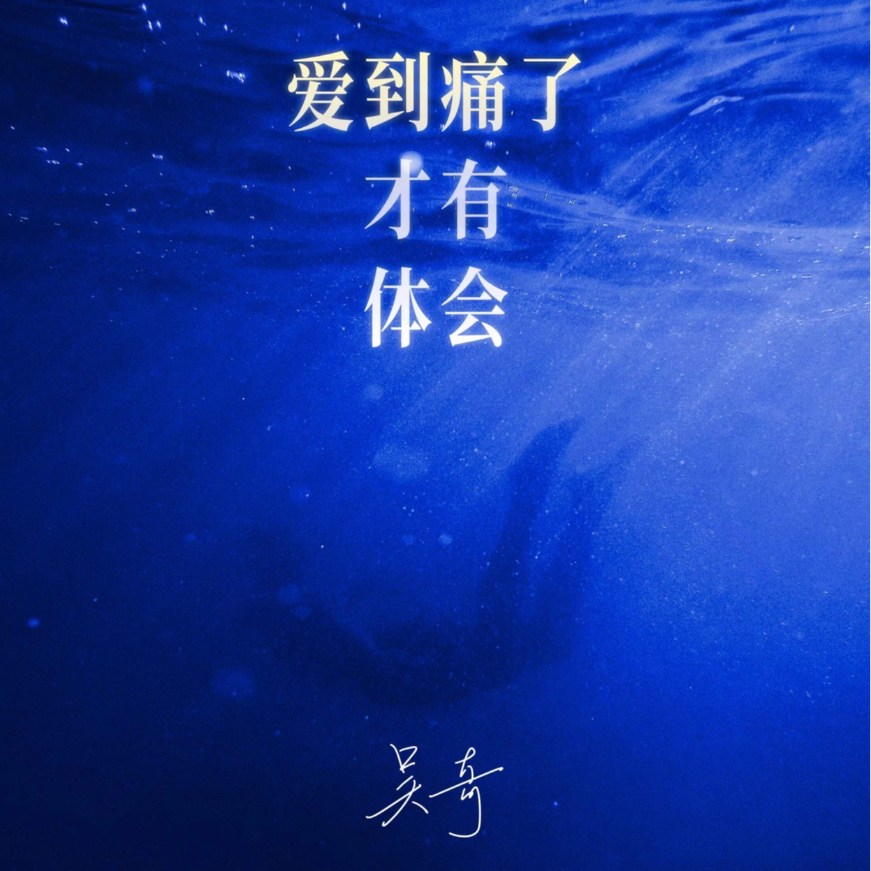 爱到痛了才有体会