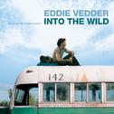 Into The Wild (Music For The Motion Picture)专辑