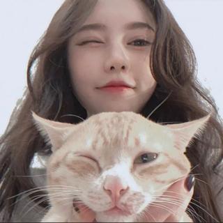 真是太好听了 只想单曲循环鸭