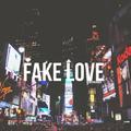 Fake Love (Cover)