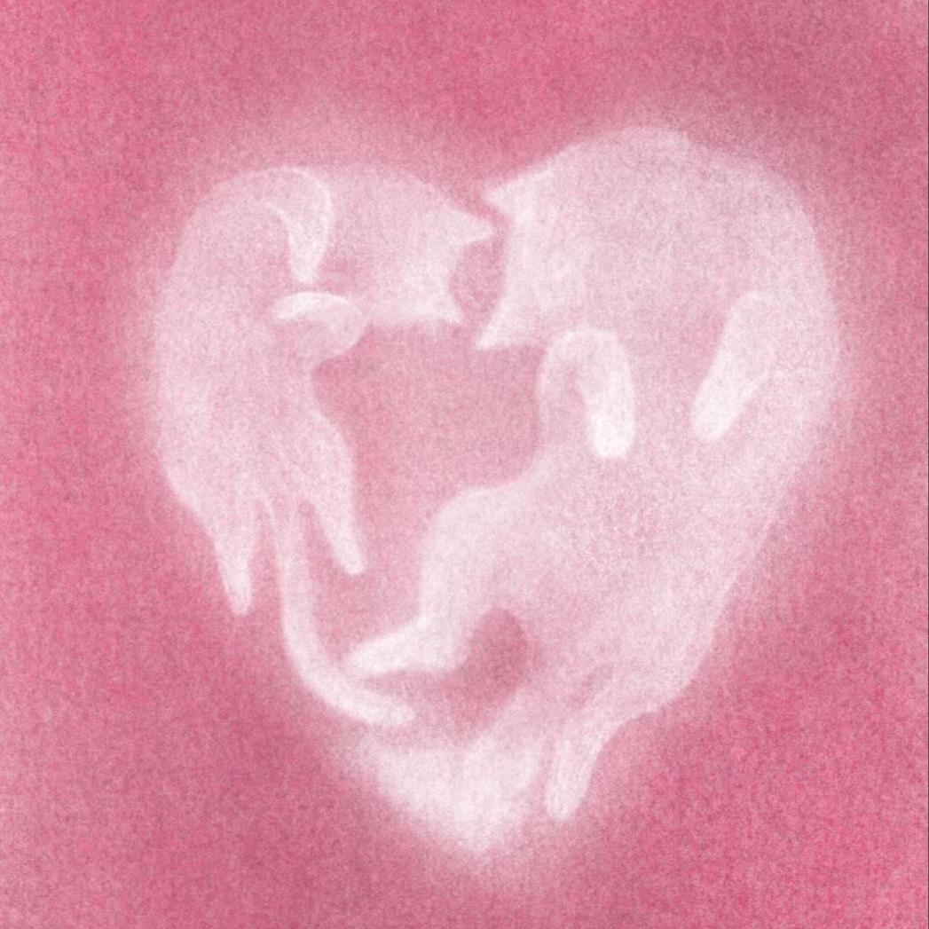 张靓颖-如果这就是爱情