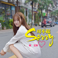 Sorry 对不起