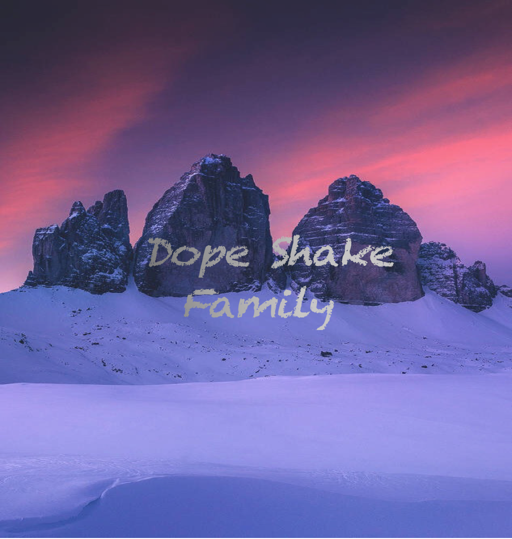 天山摇摆客合集DopeShake Family专辑