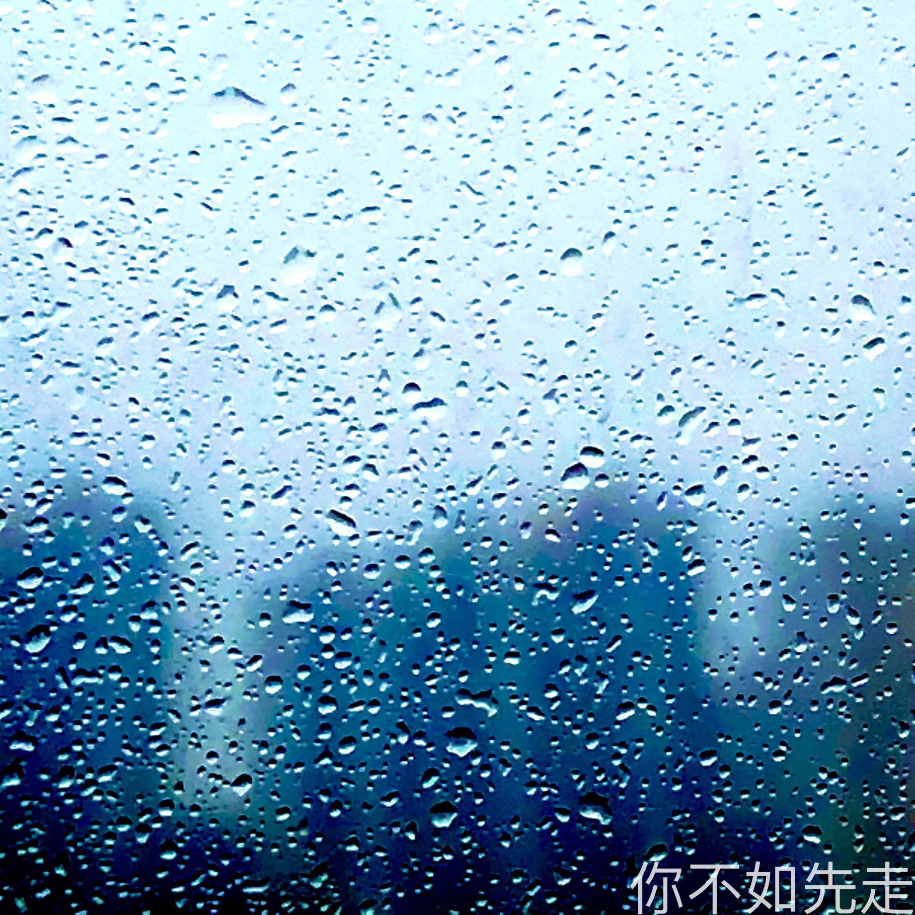 你不如先走 (抒情版)