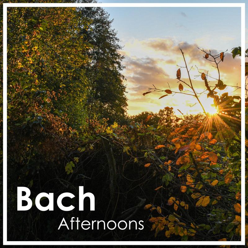 Bach Afternoons