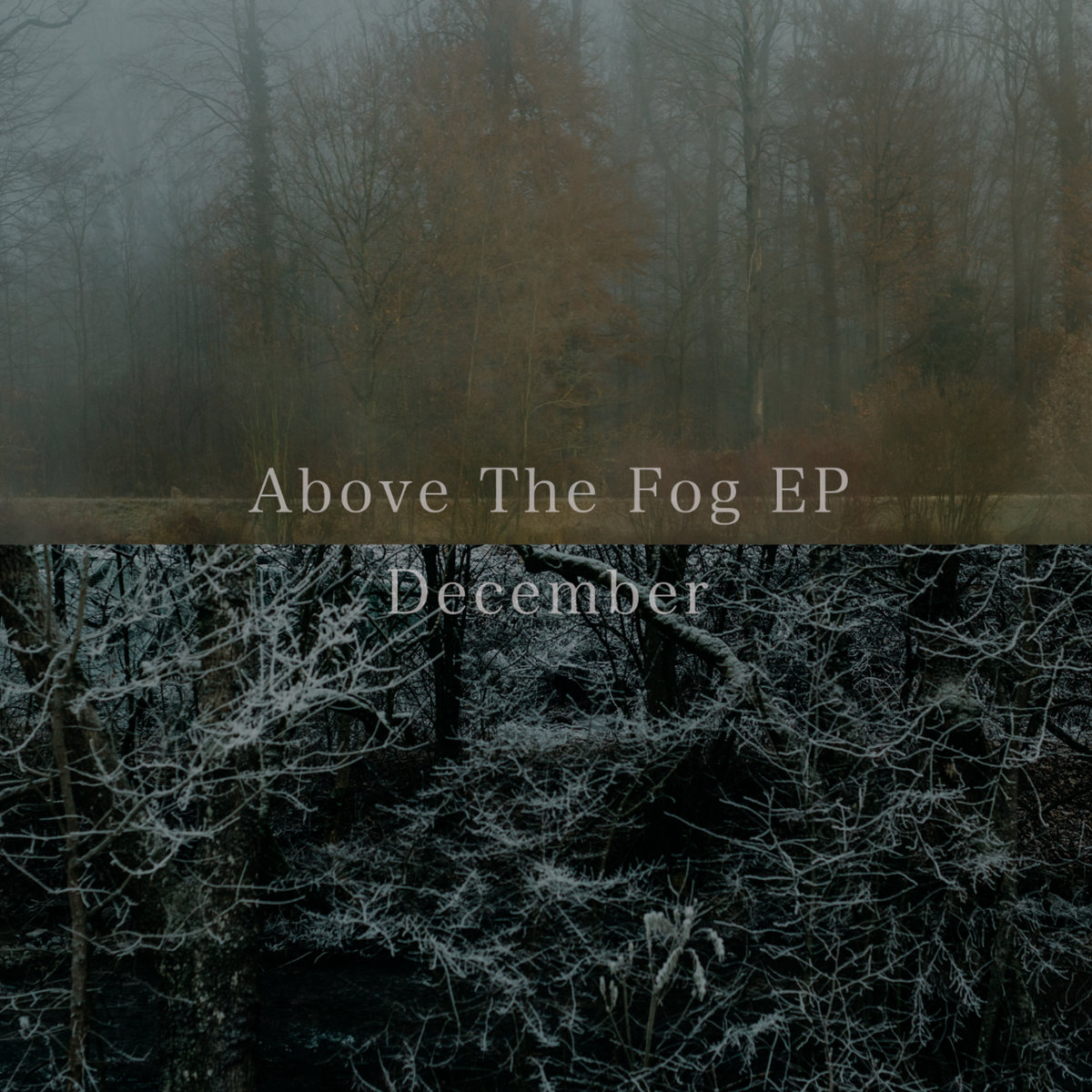 Above The Fog
