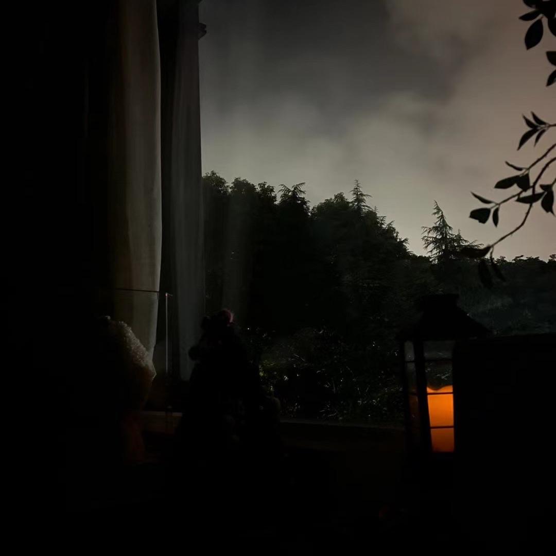 直到你降临（片段）（翻自 阿肆）