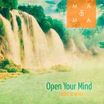 Open Your Mind (Matoma Tropical Remix)专辑