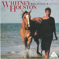 All At Once - Whitney Houston (Pr Instrumental) 无和声伴奏