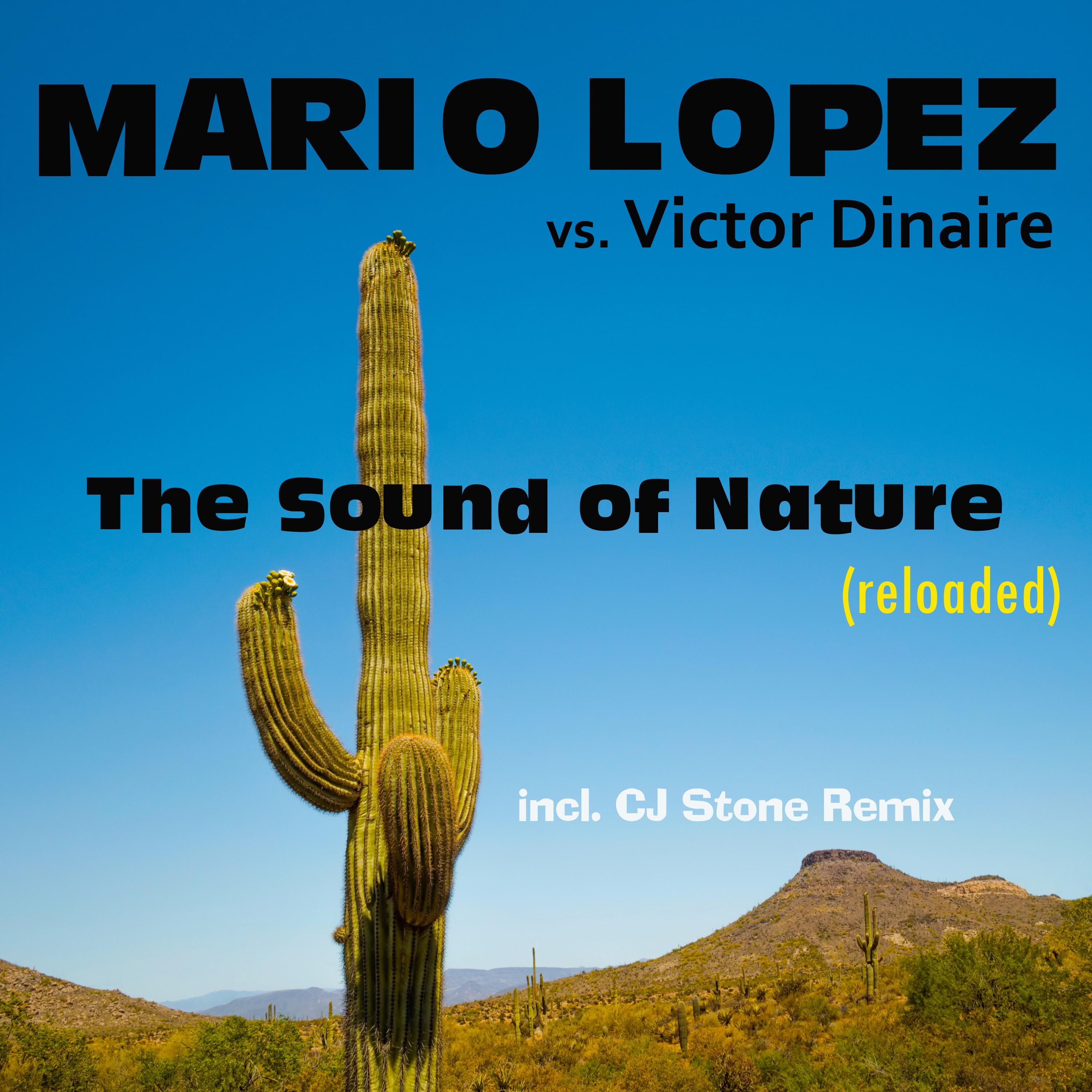 The Sound of Nature