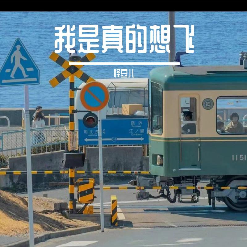 我是真的想飞