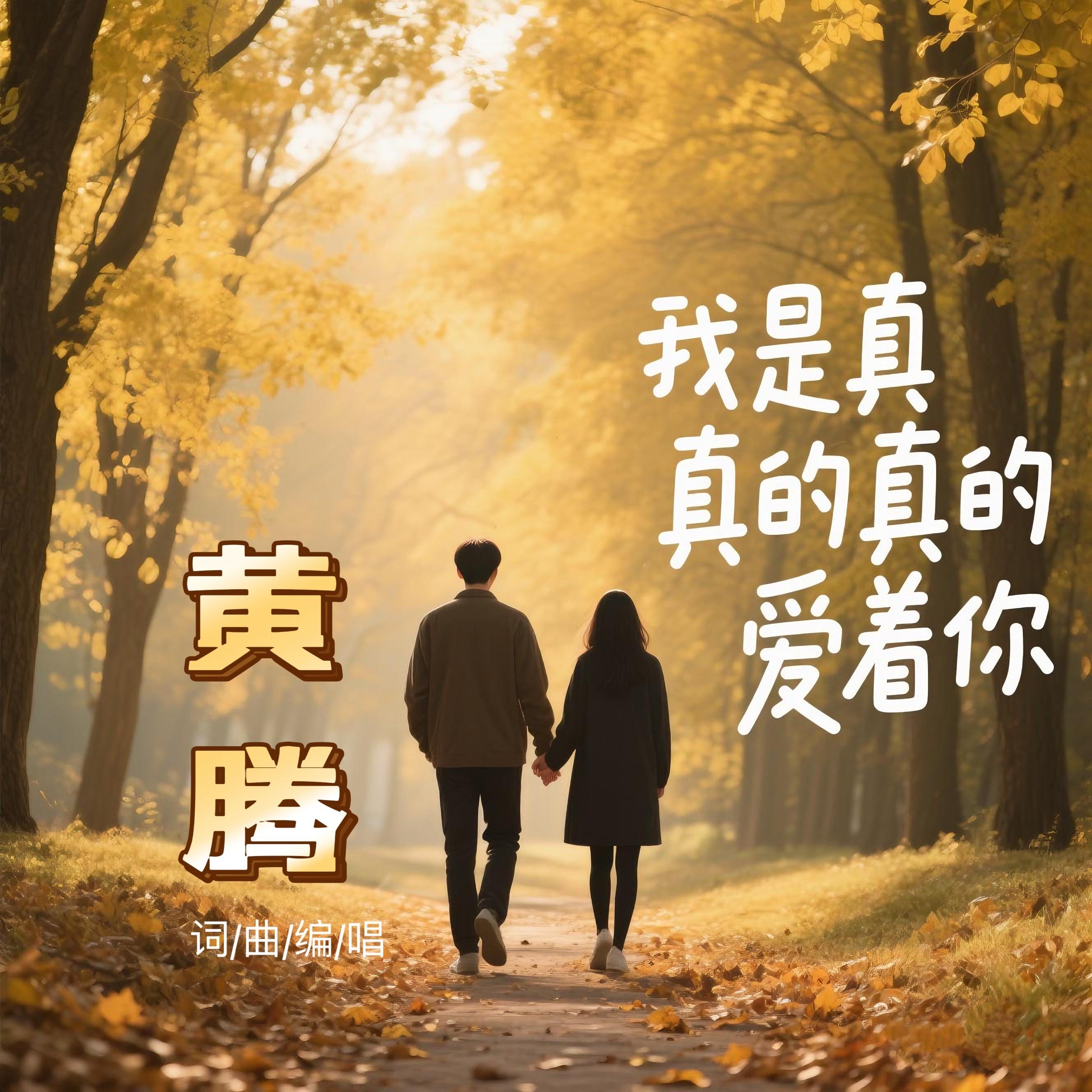 我真的真的真的爱着你