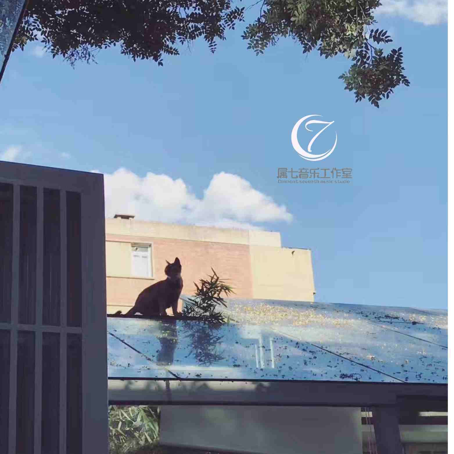 纯钢琴曲｜纯音乐｜动人的旋律｜助眠｜静谧时光