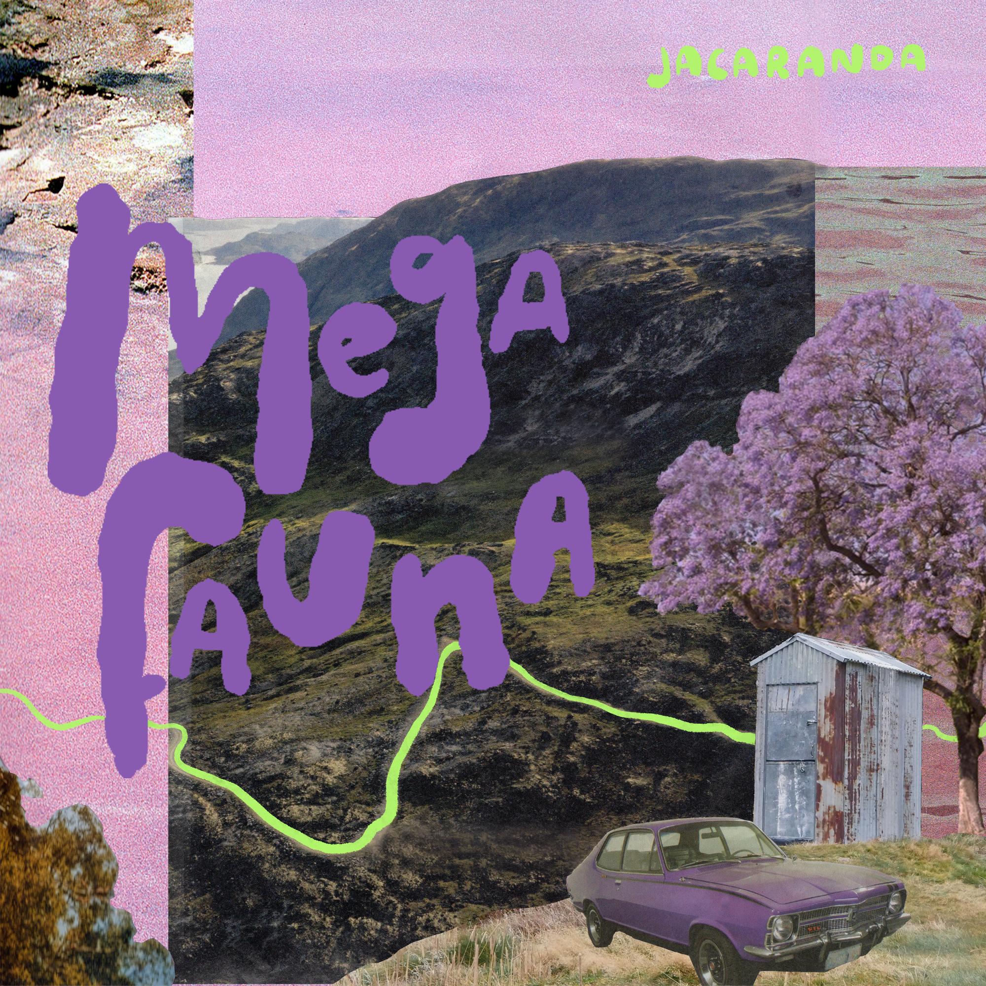 Jacaranda