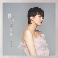 梁咏琪-再见灰姑娘