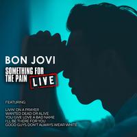 Something For The Pain - Bon Jovi (karaoke)