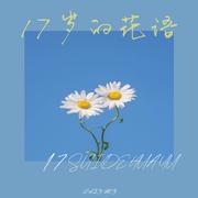 十七岁的花语