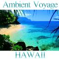 Ambient Voyage: Hawaii