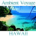 Ambient Voyage: Hawaii专辑